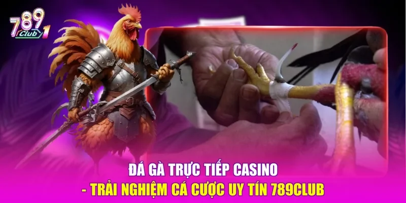 Đá gà trực tiếp casino
